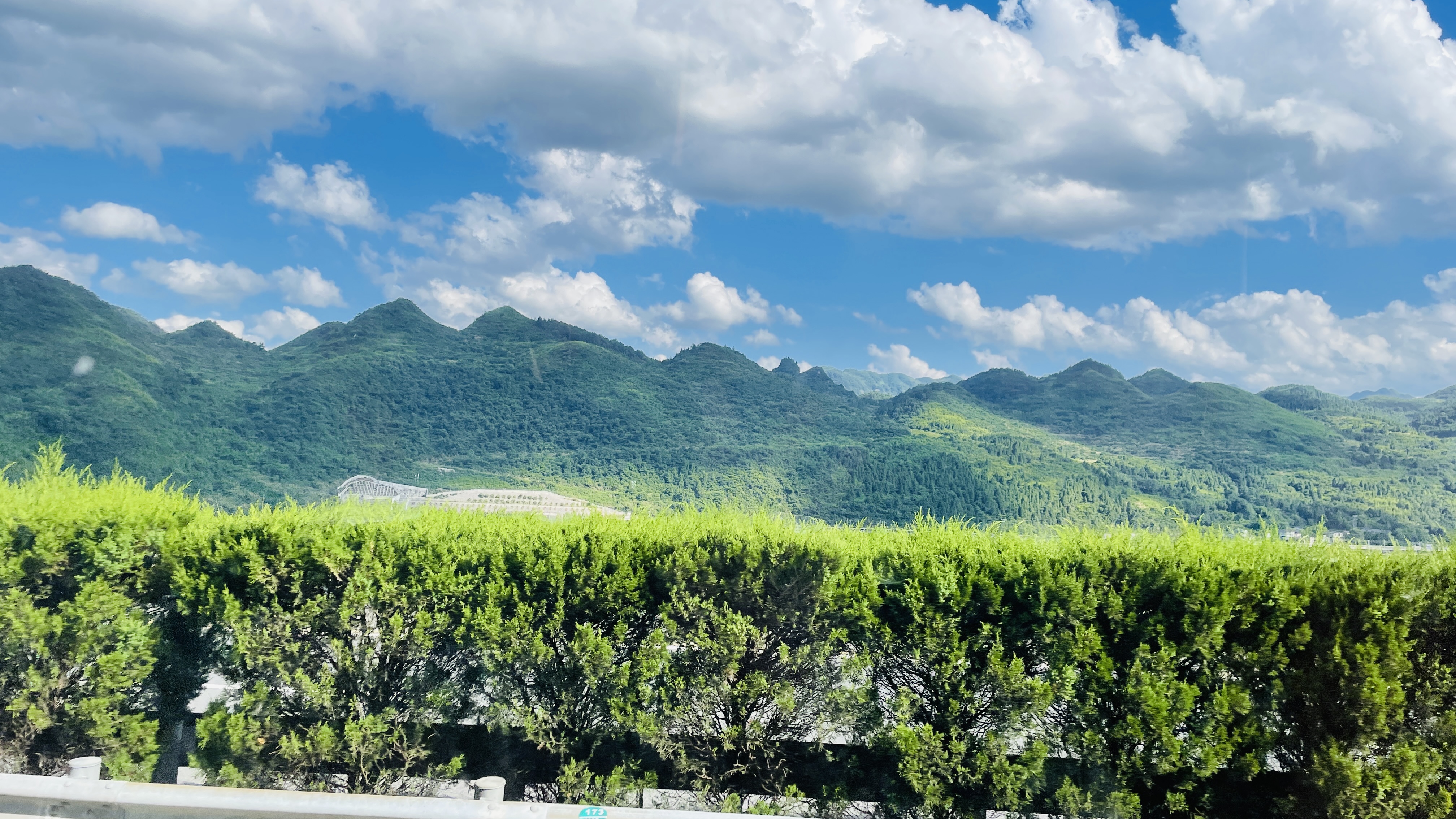 2022-07-09 16.29.05.jpg